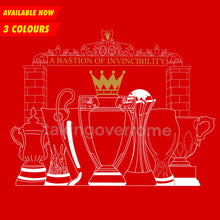 Load image into Gallery viewer, (Available Now) A Bastion Of Invincibility T-shirt