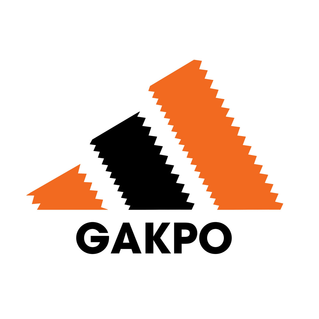 Cody Gakpo 3 Stripes T-shirt